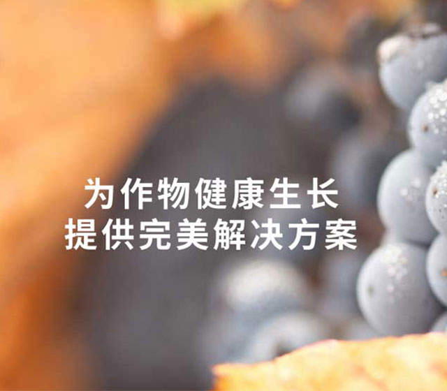黑龙江康植农业科技有限公司